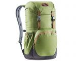 Рюкзак DEUTER Walker 20 цвет 2443 pine-graphite Городской