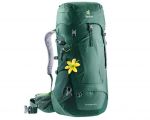 Рюкзак DEUTER Futura 28 SL колір 2247 seagreen-forest Для походів