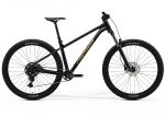 Велосипед 29 Merida Big.Trail 300 (2026) рама - XS Black(Brown)