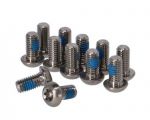Болты ротора Titanium T25 (Серебристый, 12 шт.), SRAM