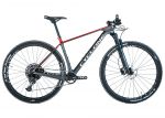 Велосипед 29 Cyclone PRO 1 carbon 17” Сер/Июнь 2024