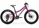 Велосипед 20 Merida MATTS J.20+ (2023) Purple