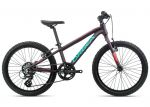 детский Велосипед Orbea MX 20 Dirt Purple-Pink 2020
