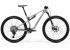 Велосипед 29" Merida Ninety-Six Xt (2026) рама - S Silk Grey(Purple)