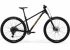 Велосипед 29" Merida BIG.TRAIL 300 (2025) рама - XS Black (Brown)