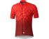Велоджерси SHIMANO BREAKAWAY, красный, разм. M