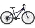 Велосипед 24 Giant XTC Jr 24 Lite (2023) Eclipse