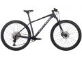 Велосипед 29 ALX рама-XL Deep Violet (mat) 2026