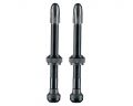 Вентиль Schwalbe для бескамерных ободов, 60mm (2 шт)