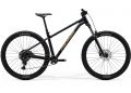 Велосипед 29 Merida BIG.TRAIL 300 (2025) рама - XS Black (Brown)