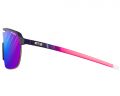 Очки Julbo FREQUENCY (REACTIV 1-3 HC) Purple/Pink M