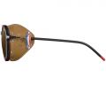 Очки Julbo LEGACY (REACTIV 2-4 POLAR) Translucent Black / Red / Brown L
