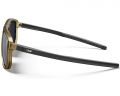 Очки Julbo WARD (Spectron 3+) Light Brown / Black L