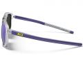 Очки Julbo WARD (Spectron 3CF) Shiny Crystal / Purple L