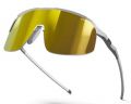 Очки Julbo DENSITY (Spectron 3CF) Gray/White L