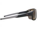 Окуляри Julbo MONTEROSA 2 (REACTIV 2-4 POLAR) Black / Brown M