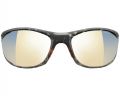 Окуляри Julbo Race 2.0 (Zebra Light 1-3) Tortoise grey / Orange