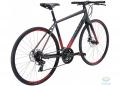 Велосипед 28 Apollo EXCEED 10 Disc рама - L matte Charcoal/ Black/ Red