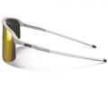 Очки Julbo DENSITY (Spectron 3CF) Gray/White L