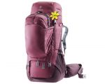 Рюкзак DEUTER Aviant Voyager 60+10 SL (Maron-Aubergine) туристический, 60+10 л