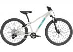 Велосипед 26 Cannondale Trail OS 2026 CAS